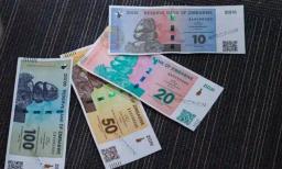 Kenyan President, William Ruto, Backs New ZiG Currency