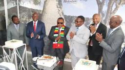 Acquire Passports And Regularise Your Stay, Zimbabwe Tells Citizens Based In South Africa