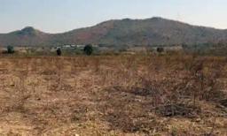 Beneficiaries Of Zimbabwe's Land Reform Programme Abandon Farms