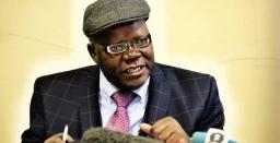 Biti Criticises The Govt For "Criminalising Campaigning Against Zimbabwe"