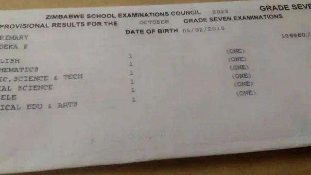 Bulawayo School Criticised For Withholding High-achieving Student's Results Over Fees