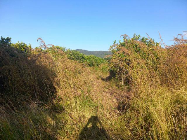 Kasukuwere’s Orange Farm Desolate