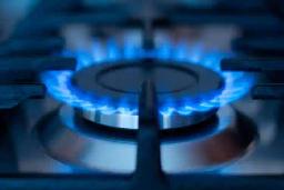 Liquified Petroleum Gas Shortage Looms