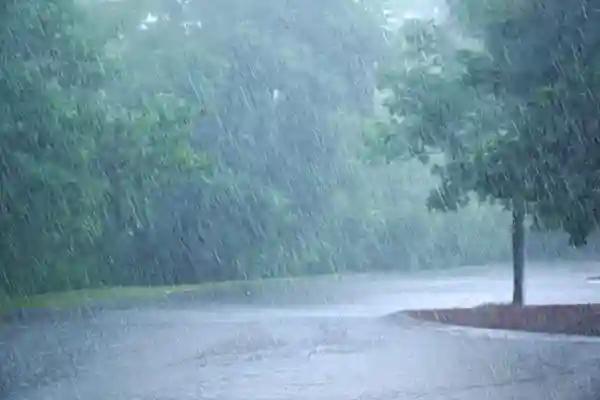 Rainy Season Likely To Be Short - Govt