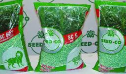SeedCo Limited Reports Drop In Maize Seed Sales