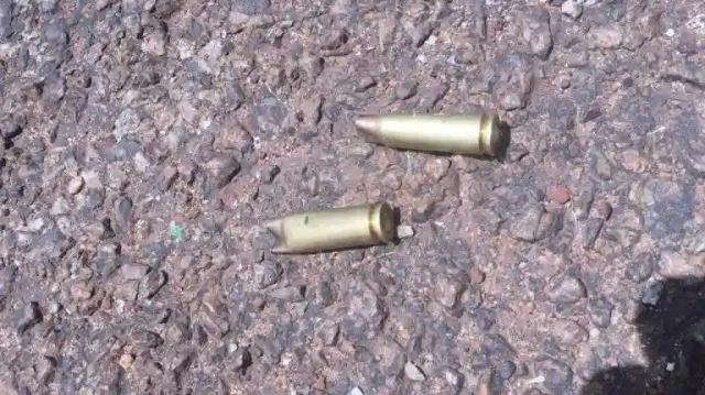 Suspect Killed In Shootout With Police In Domboramwari