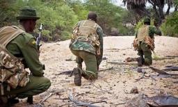 Suspected Poacher Killed In Shoot-Out, Colleagues Escape