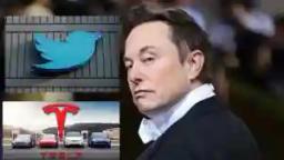 Tesla CEO Elon Musk Faces Trial Over A Tweet Which "Manipulated The Stock Market"
