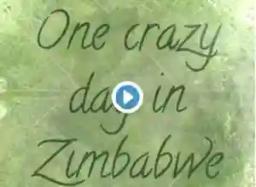 Video: Adventurous people water skiing on flooded roads in Zimbabwe