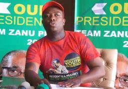 ZANU PF Official, Kudzanai Chipanga, Arrested