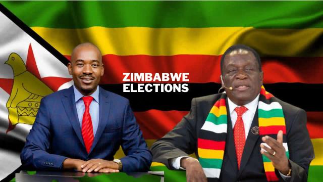 Zimbabwe 2023 Elections: CCC Calls For Fresh Elections [Video]