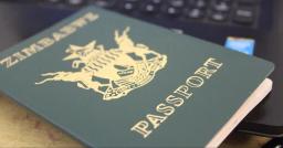 Zimbabwe Commences Trial Run Of Electronic Passport Processing Centre In Joburg