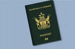 Zimbabwe Starts Processing E-passports In South Africa