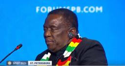Zimbabwe's Leaders Lack Basic Negotiating Skills, Putin Will Exploit Mnangagwa's "Desperation" - Chin'ono