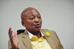 Kunene Insists Children Of Illegal Migrants, Born In South Africa, Must Be Sent To Their Home Countries